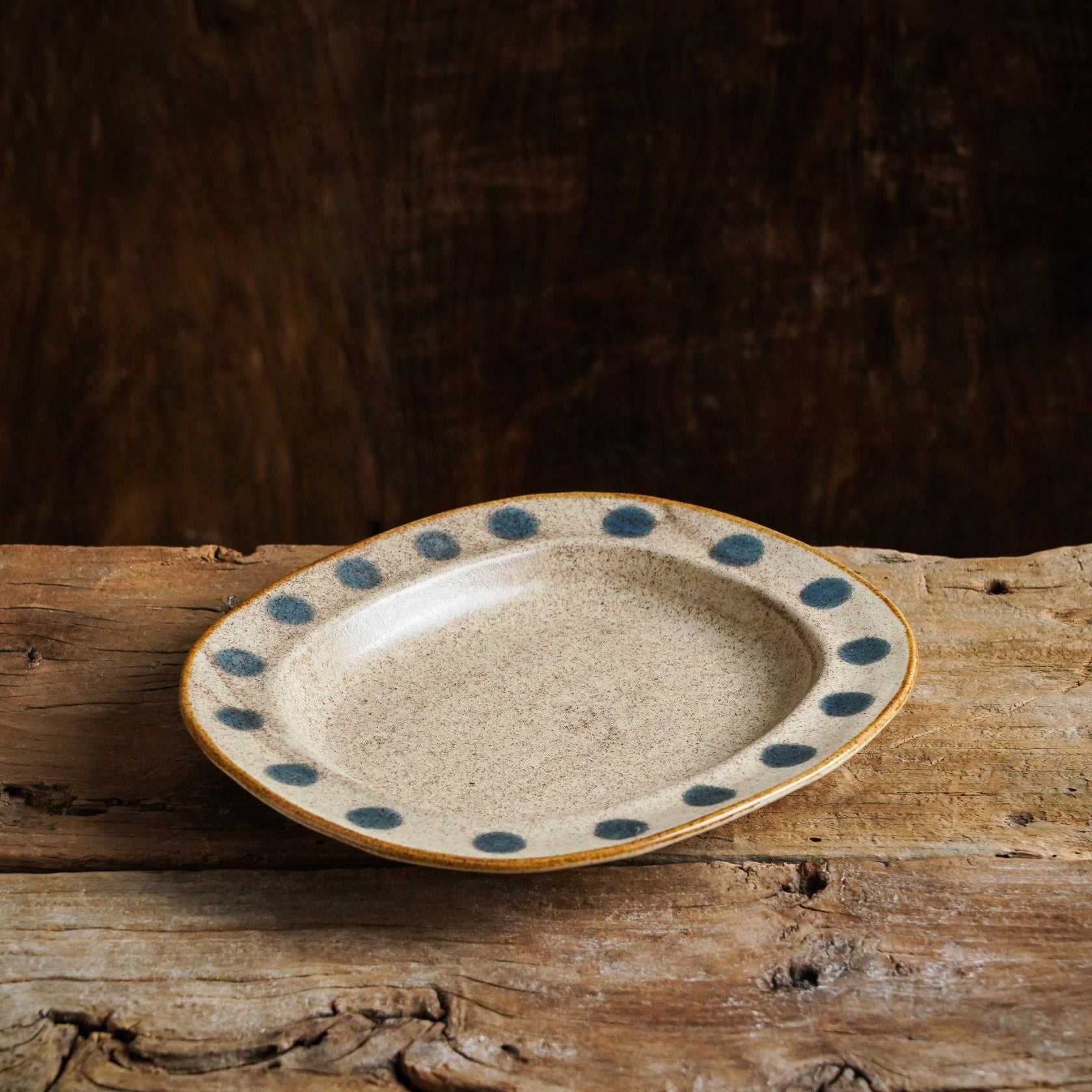 Polka Dot Rustic Stoneware Plate