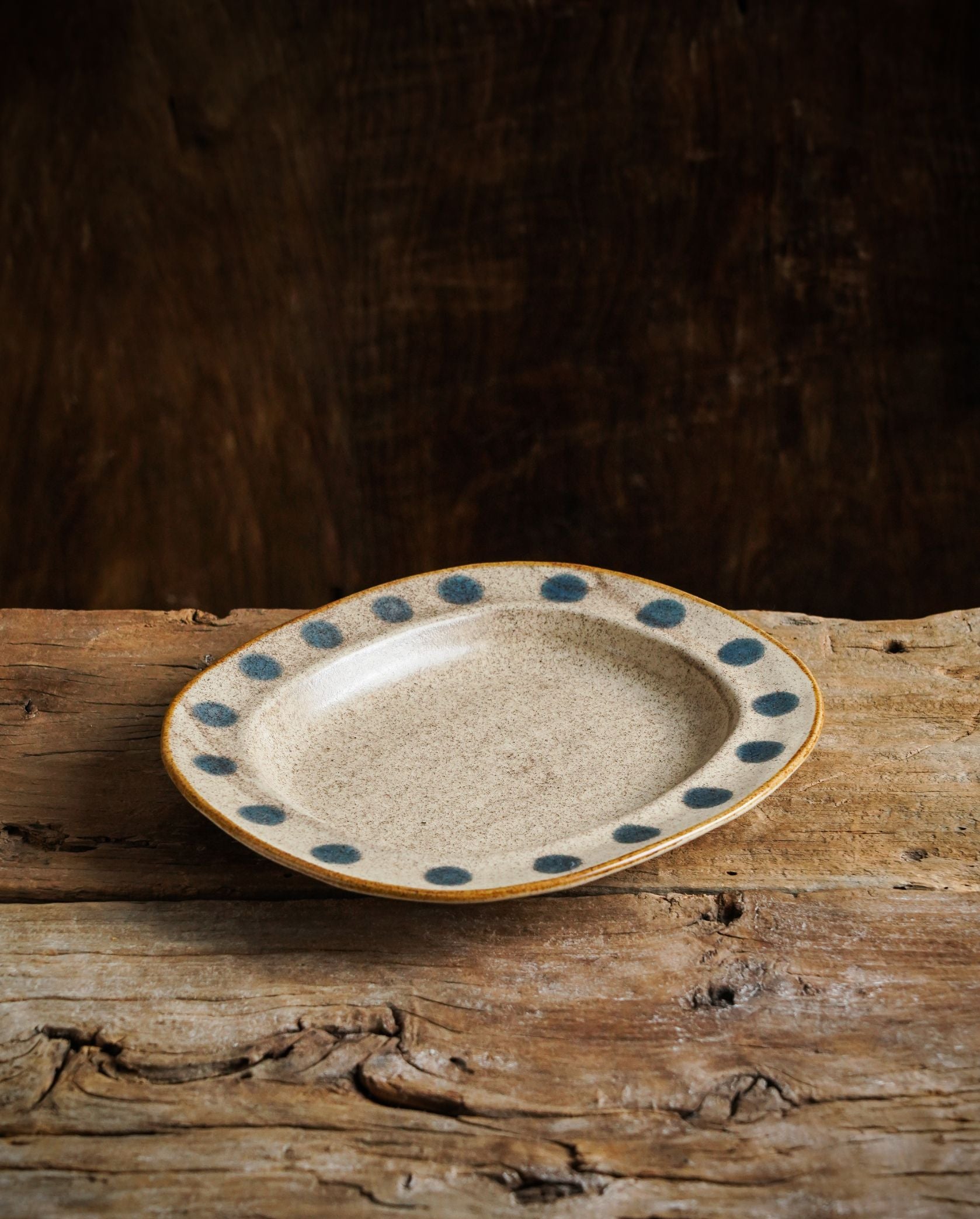 Polka Dot Stoneware Mug & Plate Set