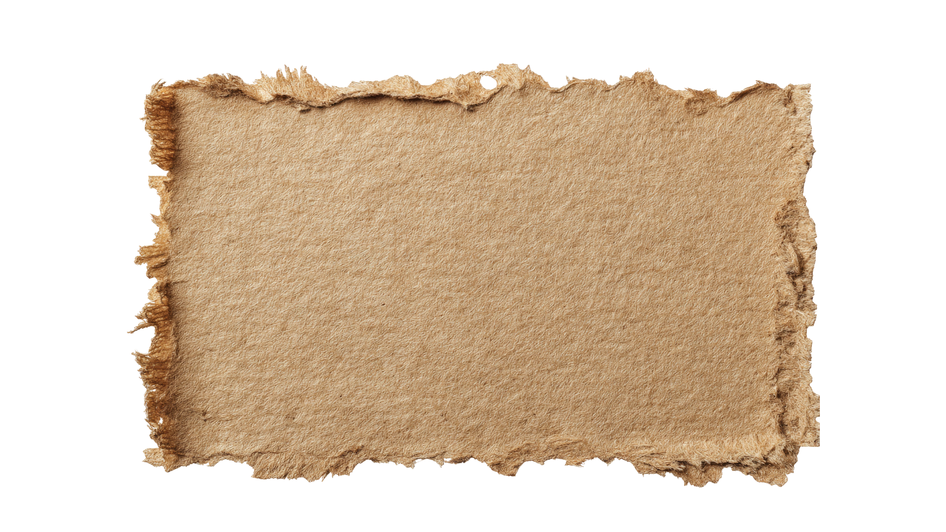 Alt Image